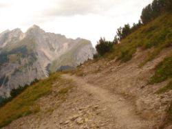 2013-09-08_6Falkenh-Steinfalk (063).JPG